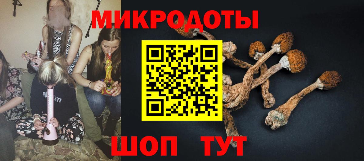 Псилоцибиновые грибы Magic Shrooms Кингисепп